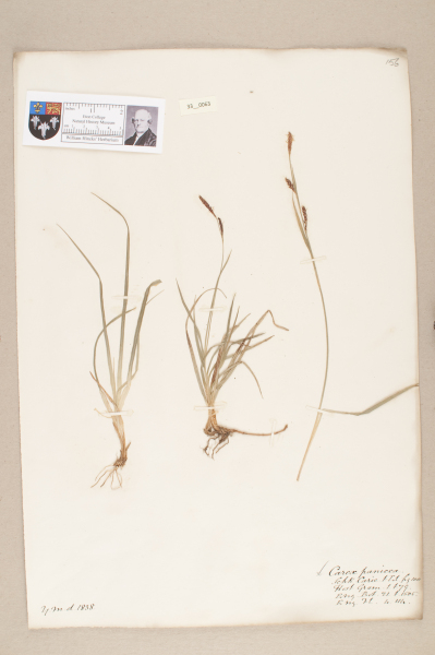 NHM_HH_33.63-2010 image NHM_HH_33.63-2010