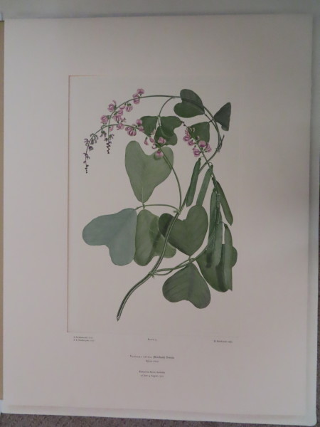 FDA-E.2916_4_9-2016 image FDA-E.2916_4_9-2016