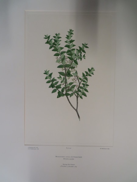 image FDA-E.2916_21_22-2016