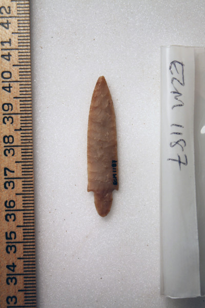 ECM.1187-2010-B image ECM.1187-2010-B