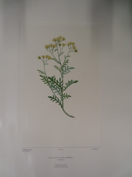 image FDA-E.2916_23_23-2016