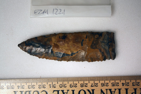 ECM.1221-2010-A image ECM.1221-2010-A