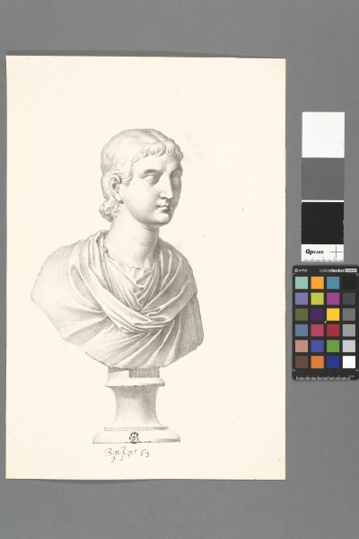 ECL-Bn.1_63-2013 image ECL-Bn.1_63-2013