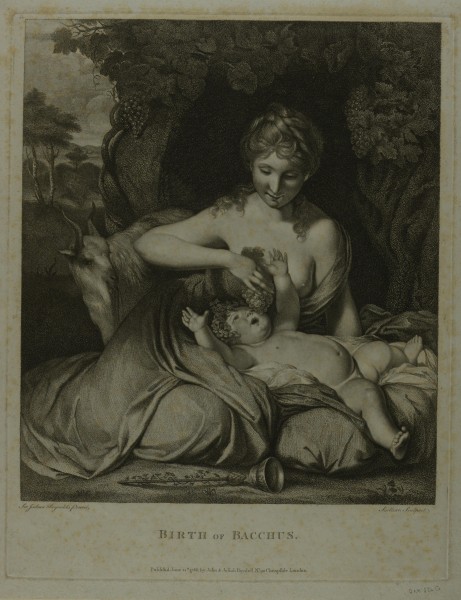 FDA-E.95-2014 image FDA-E.95-2014