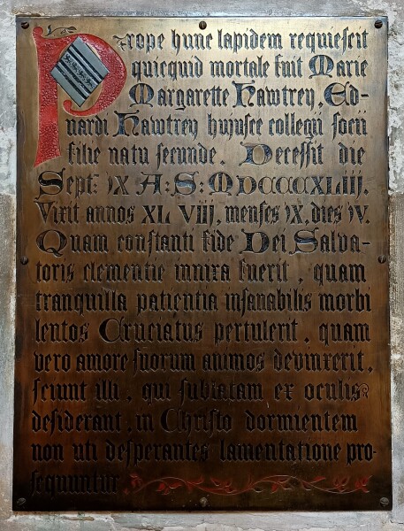 image FDA-A.551-2018