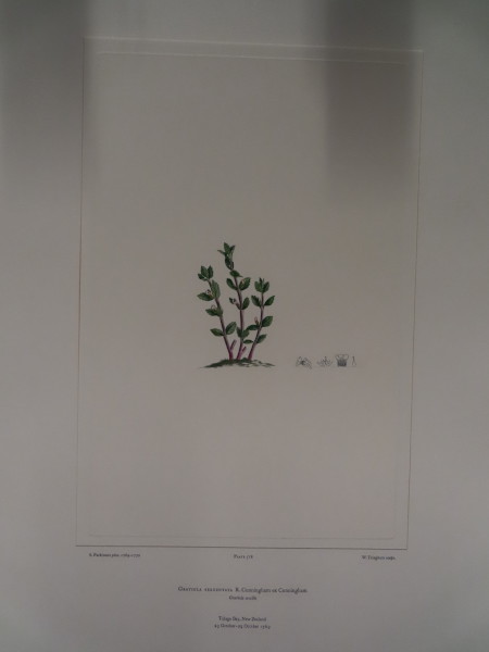 FDA-E.2916_25_6-2016-A image FDA-E.2916_25_6-2016-A