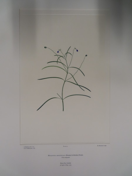 image FDA-E.2916_1_14-2016