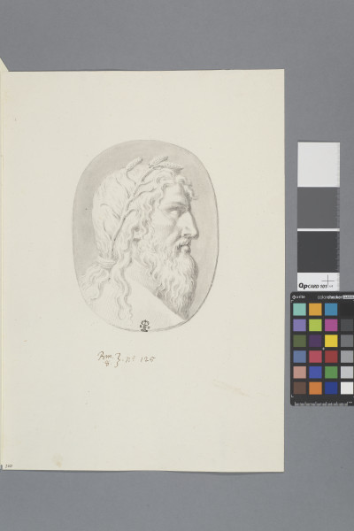 ECL-Bm.8_125-2013 image ECL-Bm.8_125-2013