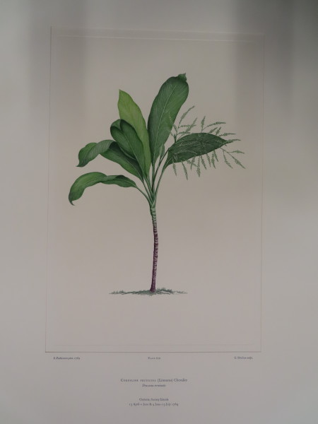 FDA-E.2916_31_23-2016-A image FDA-E.2916_31_23-2016-A