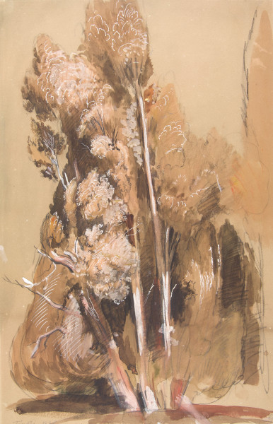 FDA-D.431-2010 image FDA-D.431-2010