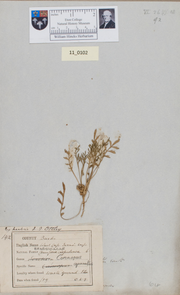 NHM_HH_11.102-2010 image NHM_HH_11.102-2010