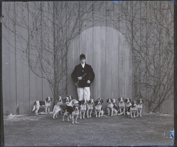 PA-N.1181-2024 image PA-N.1181-2024