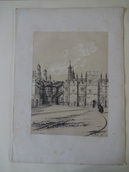 FDA-E.2838_5-2016 image FDA-E.2838_5-2016