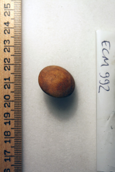 ECM.992-2010-A image ECM.992-2010-A