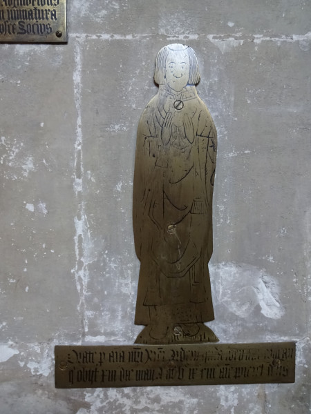 FDA-A.523-2018 image FDA-A.523-2018