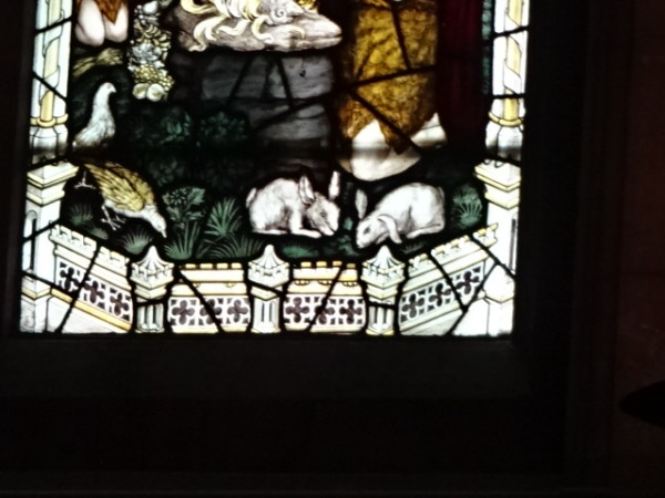 FDA-A.388_8_1c-2013 image FDA-A.388_8_1c-2013