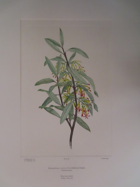 image FDA-E.2916_13_22-2016-A