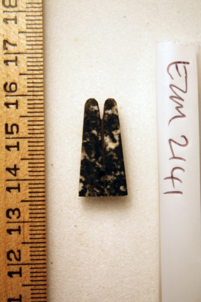 ECM.2141-2010-A image ECM.2141-2010-A