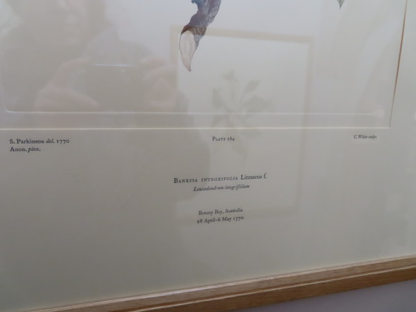 image FDA-E.2916_13_17-2016-B