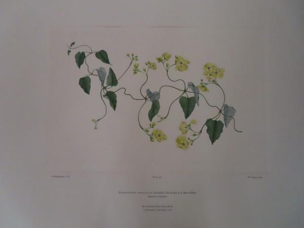 image FDA-E.2916_16_6-2016-A