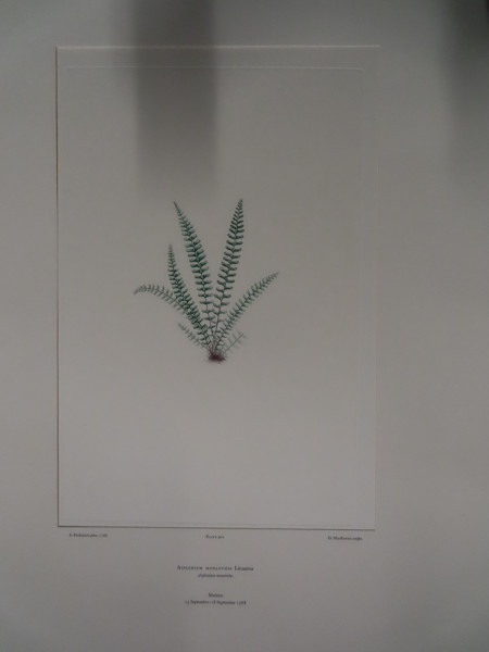 image FDA-E.2916_19_14-2016-A