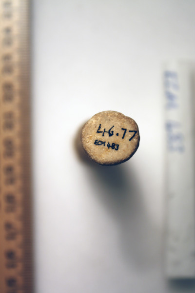 ECM.483-2010-C image ECM.483-2010-C