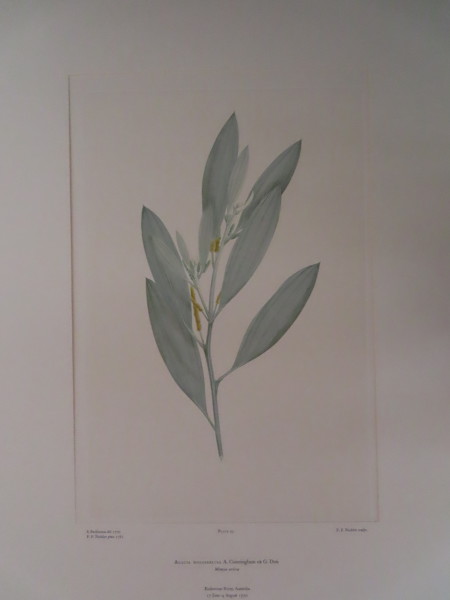 FDA-E.2916_5_6-2016-A image FDA-E.2916_5_6-2016-A