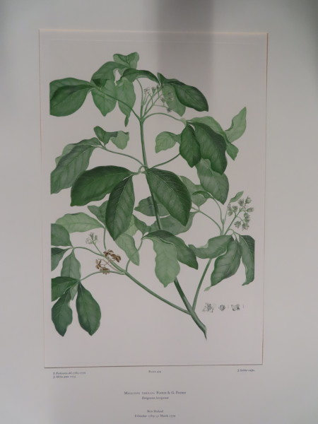 FDA-E.2916_21_4-2016-A image FDA-E.2916_21_4-2016-A