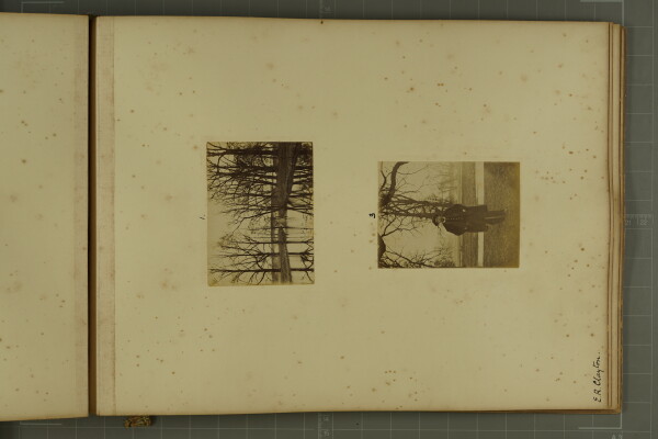 PA-A.80_48-2024 image PA-A.80_48-2024