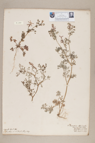 NHM_HH_7.119-2010 image NHM_HH_7.119-2010