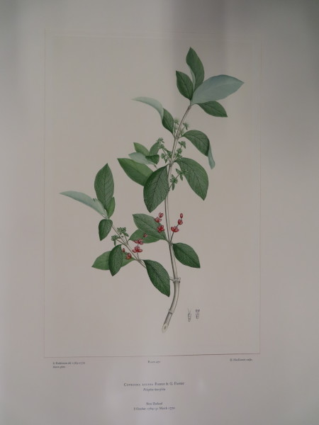 image FDA-E.2916_23_5-2016-A