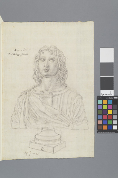 ECL-Bm.7_36-2013 image ECL-Bm.7_36-2013