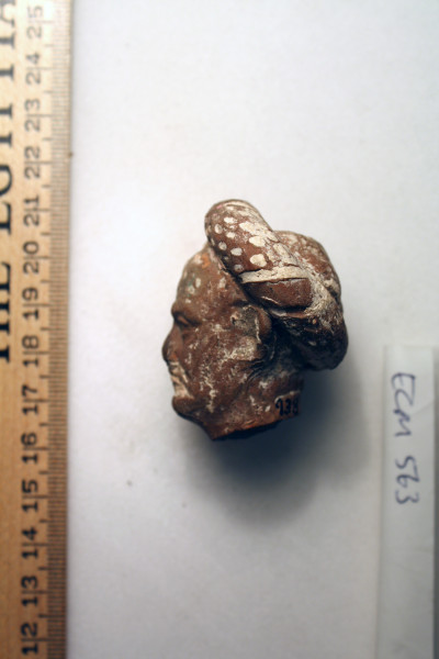 ECM.563-2010-C image ECM.563-2010-C