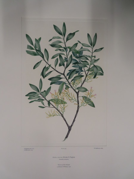 image FDA-E.2916_26_10-2016