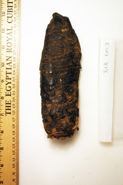 ECM.818-2010-A image ECM.818-2010-A