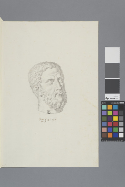 ECL-Bm.8_135-2013 image ECL-Bm.8_135-2013