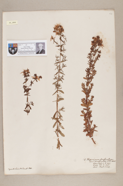 NHM_HH_10.16-2010 image NHM_HH_10.16-2010