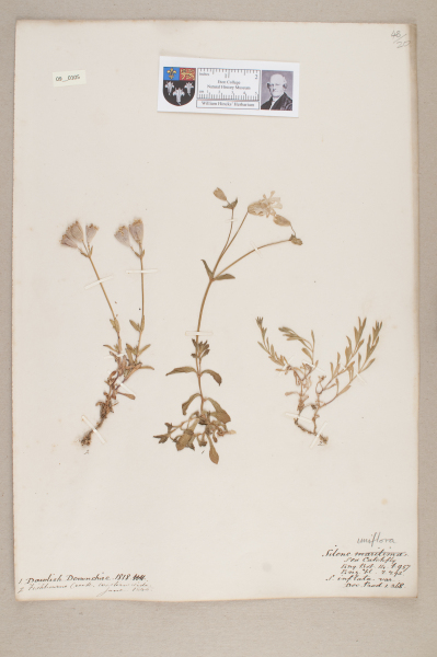 NHM_HH_9.105-2010 image NHM_HH_9.105-2010