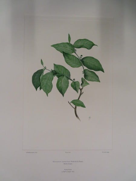 FDA-E.2916_31_4-2016 image FDA-E.2916_31_4-2016