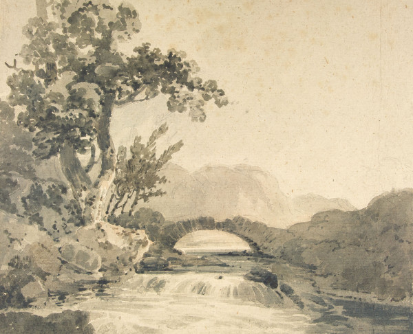 FDA-D.265-2010 image FDA-D.265-2010