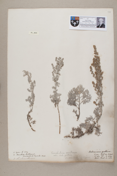 NHM_HH_29.25-2010 image NHM_HH_29.25-2010