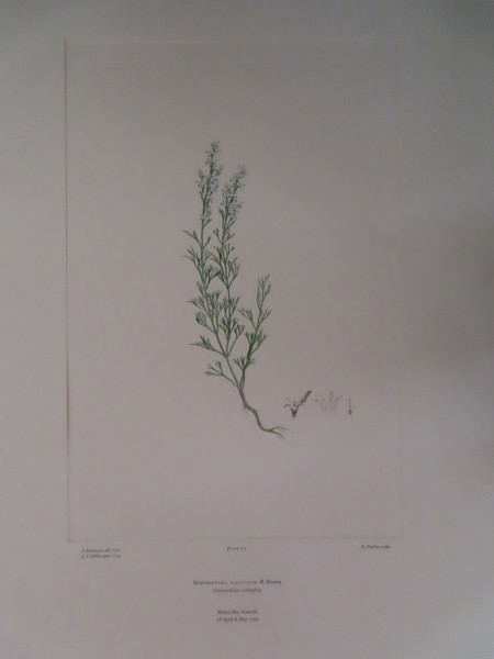 image FDA-E.2916_13_4-2016