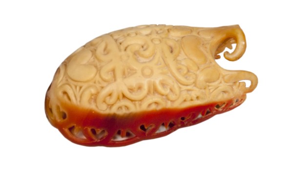 NHM-HT.145-2014 image NHM-HT.145-2014