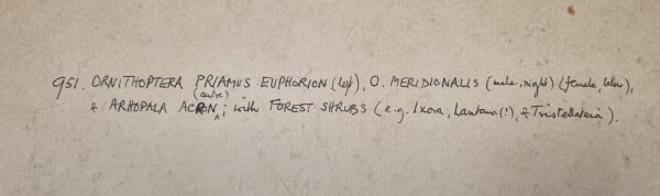 FDA-D.1786-2025-E image FDA-D.1786-2025-E