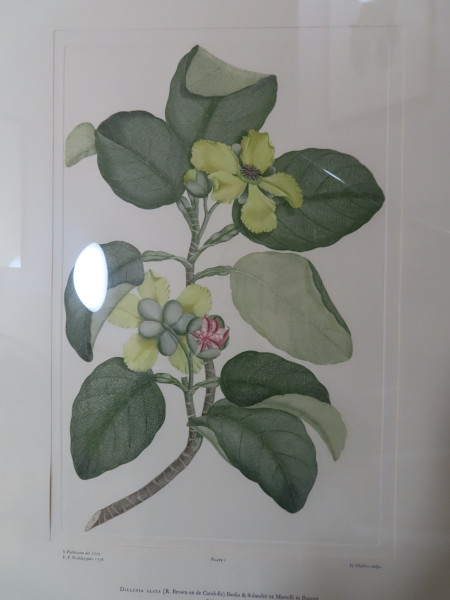 FDA-E.2916_1_4-2016-B image FDA-E.2916_1_4-2016-B