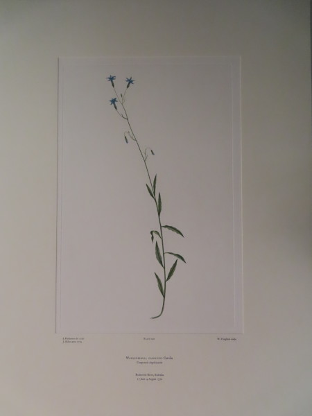 FDA-E.2916_9_13-2016 image FDA-E.2916_9_13-2016