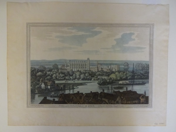 FDA-E.2798-2016 image FDA-E.2798-2016