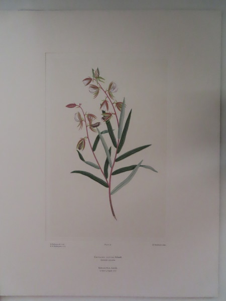 image FDA-E.2916_3_14-2016