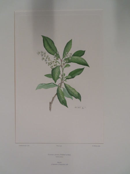 FDA-E.2916_19_7-2016-A image FDA-E.2916_19_7-2016-A