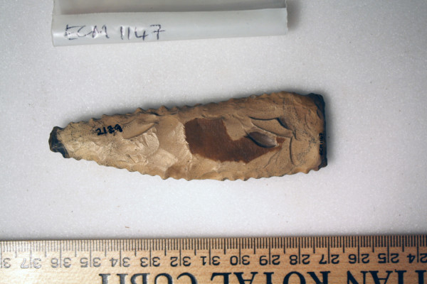 ECM.1147-2010-B image ECM.1147-2010-B